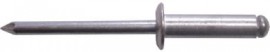 Rivets 4.8 x 25mm Plain    (250)