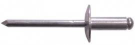 Rivets 4.8 x 12mm Large Flange (250)